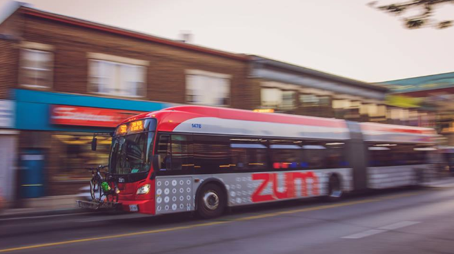 brampton transit