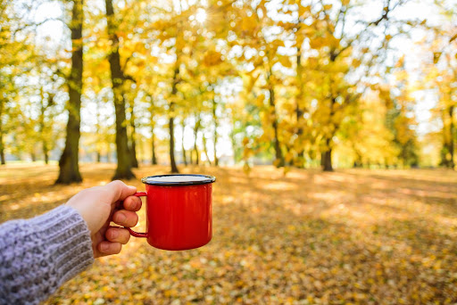 A woman holding a mug with a fall view