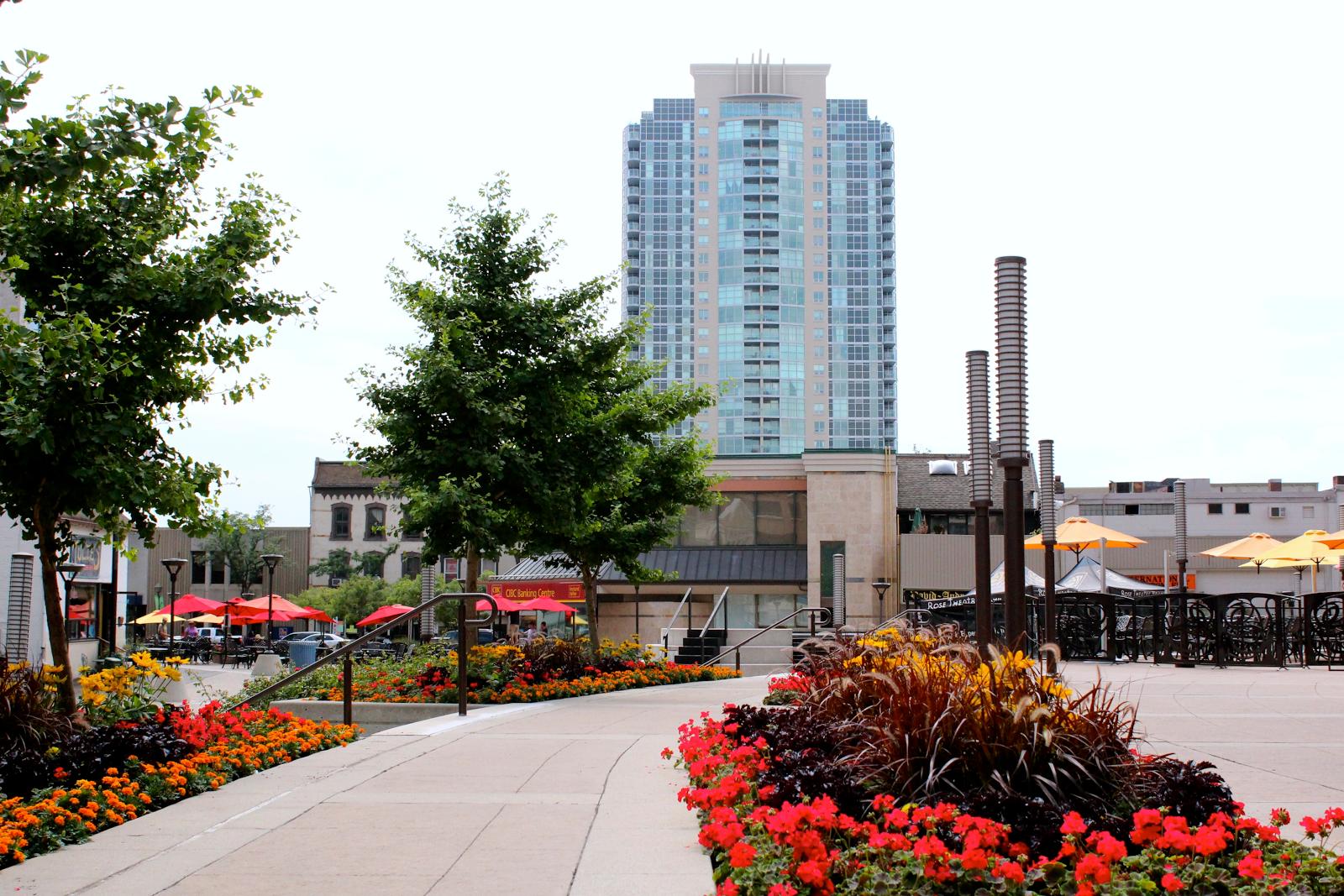 6 reasons you want to live in Brampton